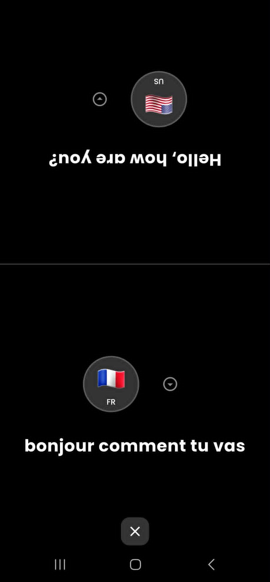 Interprète face à face NovaChat